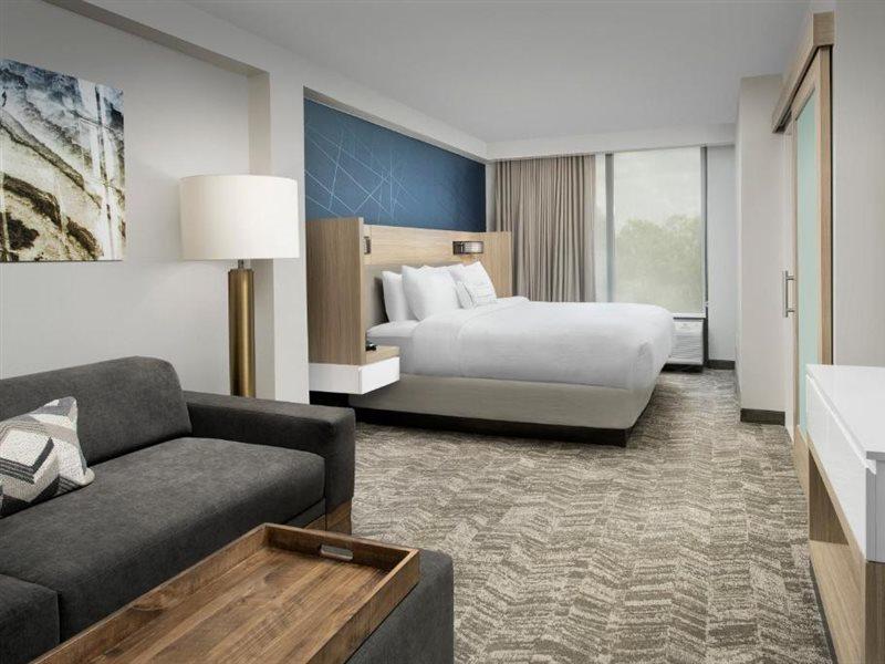 Springhill Suites By Marriott Atlanta Perimeter Center Extérieur photo