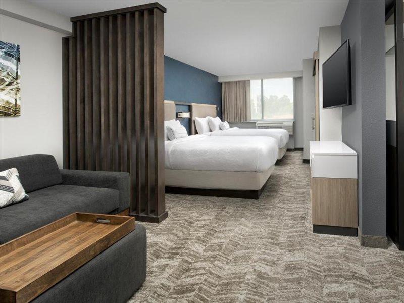 Springhill Suites By Marriott Atlanta Perimeter Center Extérieur photo